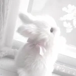 - #ħễävễٍñ Group Thumbnail