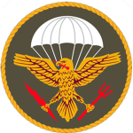 Marine Special Operations Force