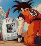 The anime destroyer group.