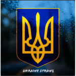 Risk Insurgent Army