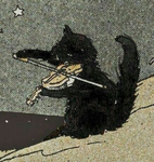 Cat Communityy