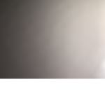 Veronica’s hi