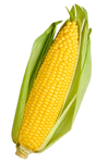 Cornwalls Legion