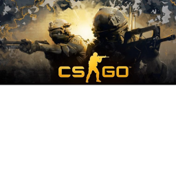Counter Strike Go Editon