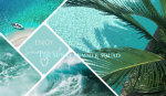 The Sunny Summer Squad