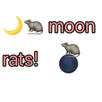 Fellow moon rats