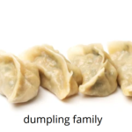 Lithuanian dumpling family