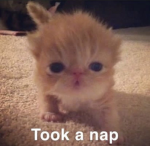 Night bbys