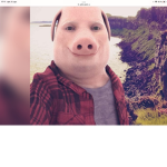 Susbakagffbjtfh