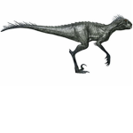The Next Extinction