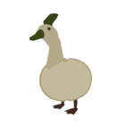 White Pumpkin Goose