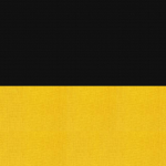 Kaisertum Österrеich Armee