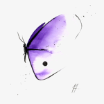 .+*!Butterflys!*+.