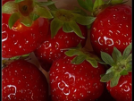 strawbsss