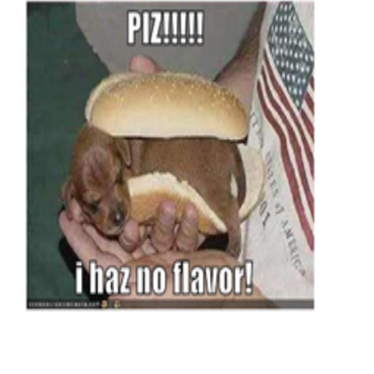 No flavor! (funny) Roblox decal