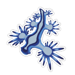 First Blue Sea Dragon