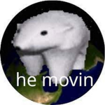 Kacenkaa