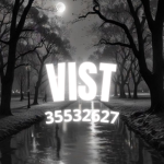 水 VIST