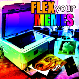 Flex your MEMES
