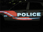 Roblox Proffesional Police