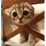 plz join I'm just made