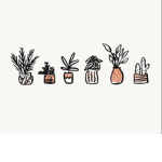 The Aesthetic Pineapples!