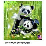 Soft Panda