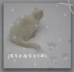 cepnevia !