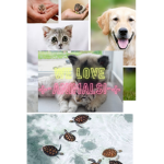 -*+ animal ##########