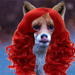 Daffodile's Whimsical Wigs