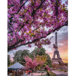 Paris France