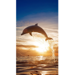 Peeps who love dolphins