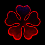 (CLOVER)