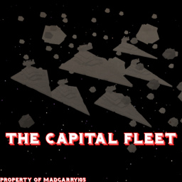 The Capital Fleet