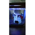 1st robux