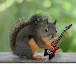 SQuIRRLESs