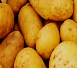 doors BUT potato mode icon