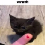 CRITICAL STRIKE 6 [DEMO]