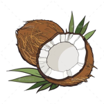 COCONUT-POLSKA