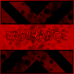 Endurance || DGS