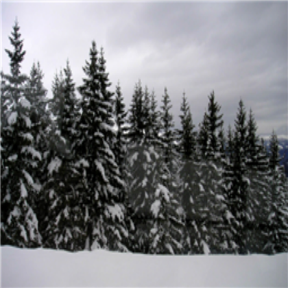 Snow Sky Box