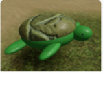 OTurtleS