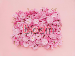 Bloomness