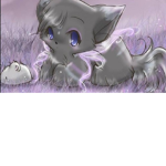 cool sand cute cats