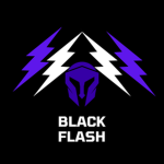 BlackFlash Development