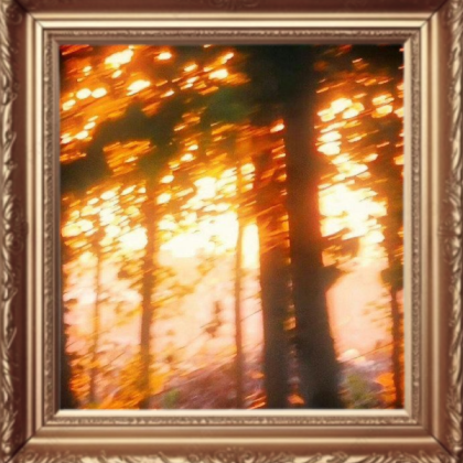 scenery sunrise trees Roblox decal