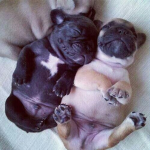 Sleepyheadds