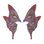 Butterfly Eyes (Orange, Pink)