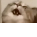 When the Catnip hits Group