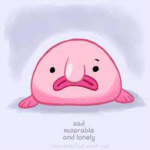 The 1 blob fish army